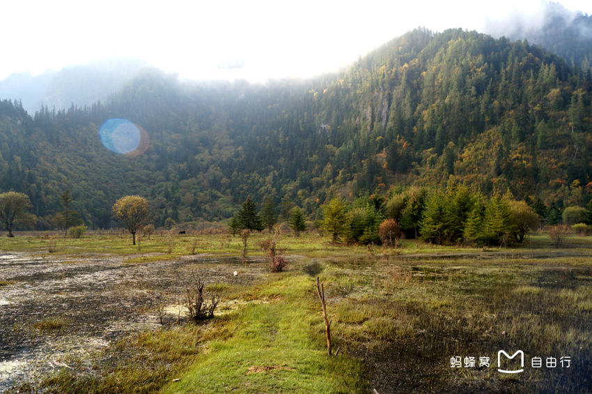 甘海子景区