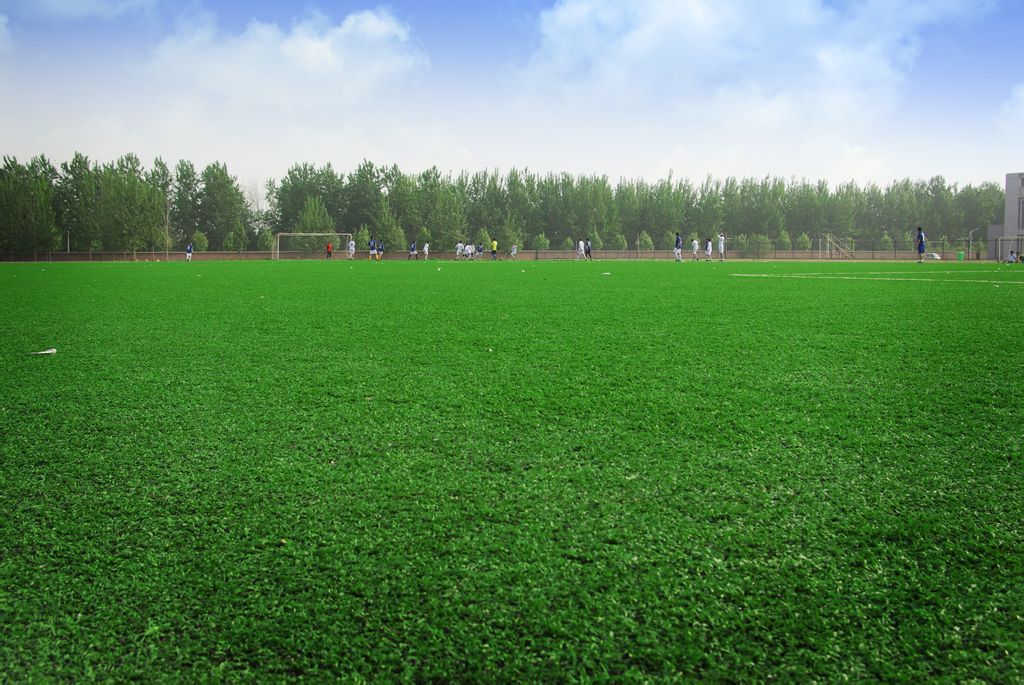 绿茵thebiggreen(1995)