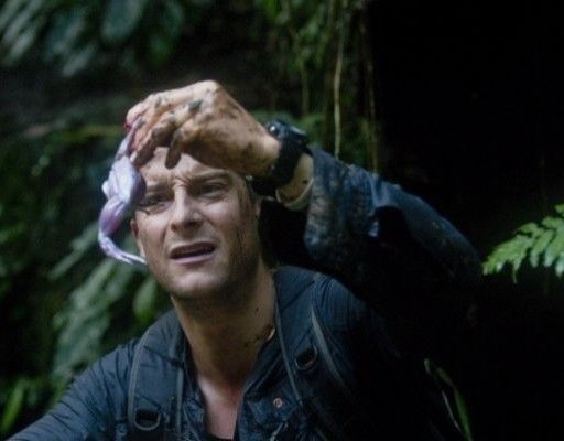  p>贝尔·格里尔斯 i>(bear grylls) /i>,1974年6月7日出生于英国
