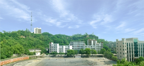 四川省岳池中学