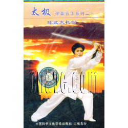 陈式太极剑49式