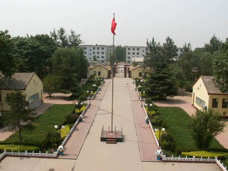 辛集市第三中学