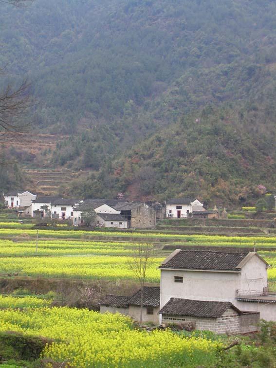 村中王姓人家,於宋朝从祁西山口迁此定基,世代聚族