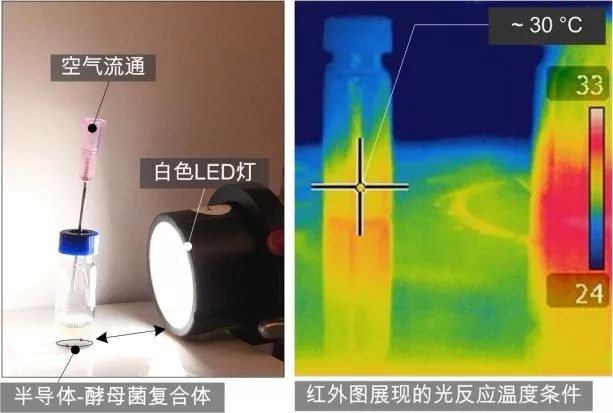 哈佛学者如何打造光驱动的精细“化工厂”_百科TA说