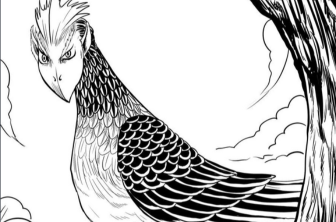 人面鸟