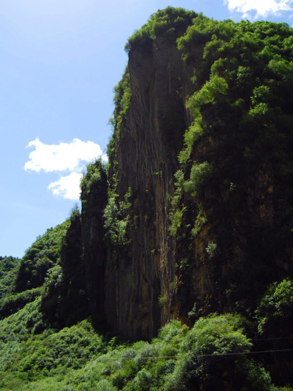 甘肃太子山国家级自然保护区
