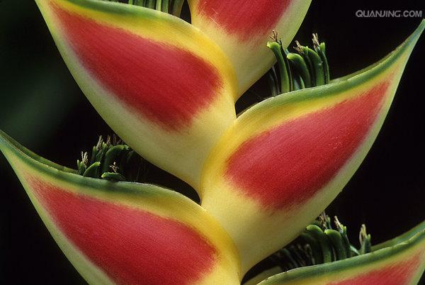  p>格林纳达(英文:grenada)位于东 a target="_blank" href="/item