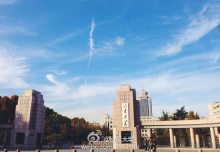 山东大学