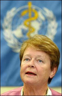 格罗-哈莱姆-布伦特兰