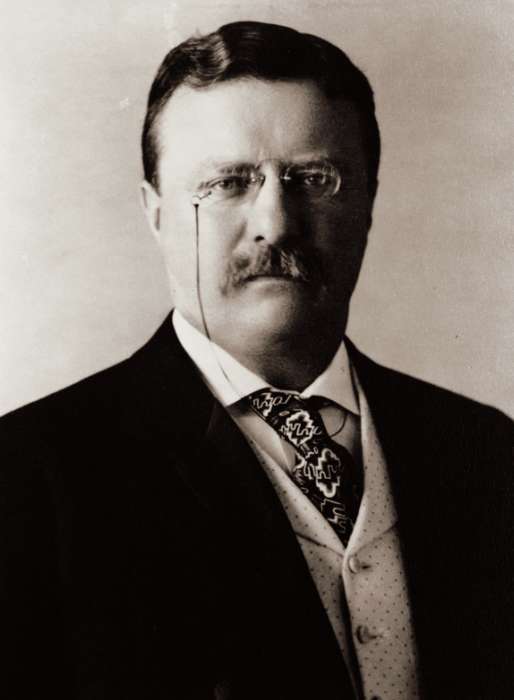 西奥多·罗斯福