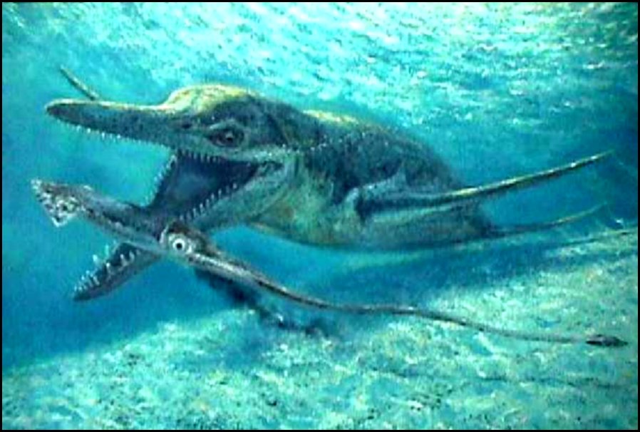  p>克柔龙(属名:kronosaurus)又名克诺龙, a href="#" data-lemmaid="