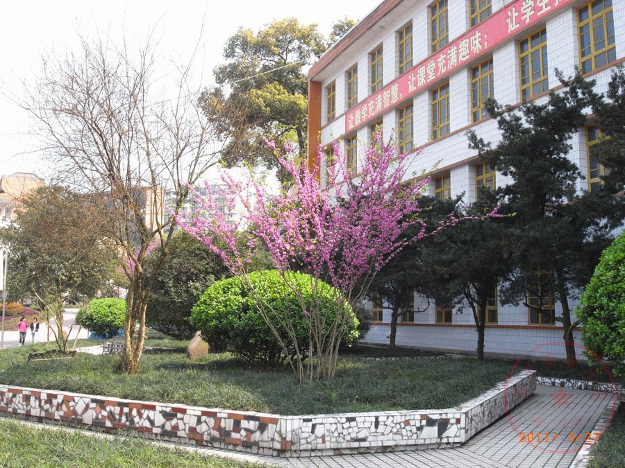  p>赤水市第一中学(chishui no.