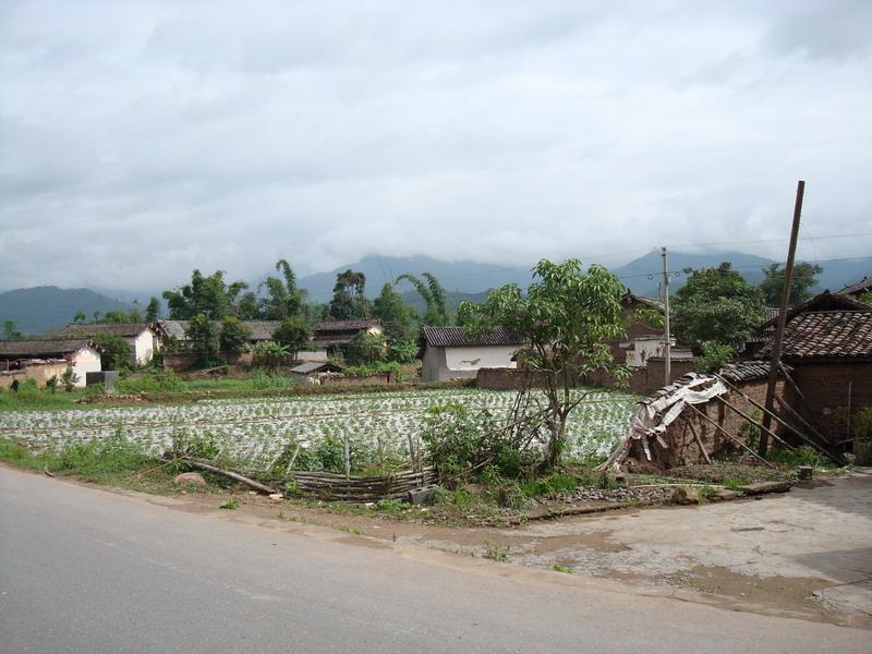 隶属于云南省普洱市景东彝族自治县文井镇都拉村委会,该村国土面积3