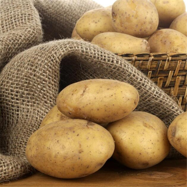 华北称山药蛋,天津称之为塞豆,江浙沪一带则称之为洋番芋洋山芋等