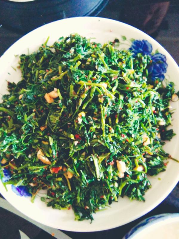  p data-id="gnwq73e4rg">凉拌苜蓿是一道凉拌菜,主要制作食材是是