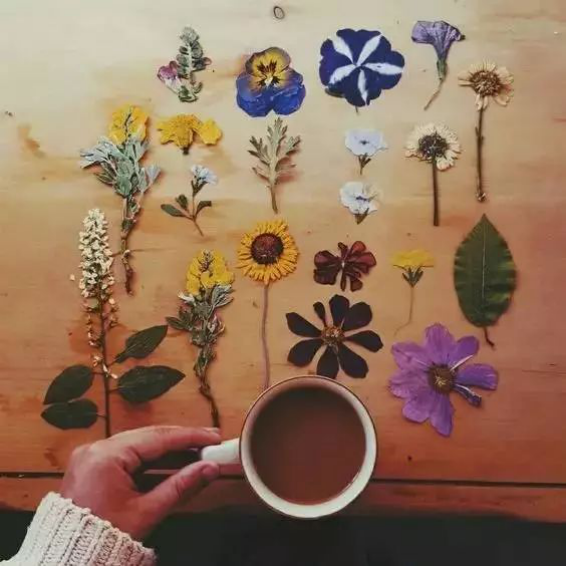 独特的美：用压花征服全世界_百科TA说