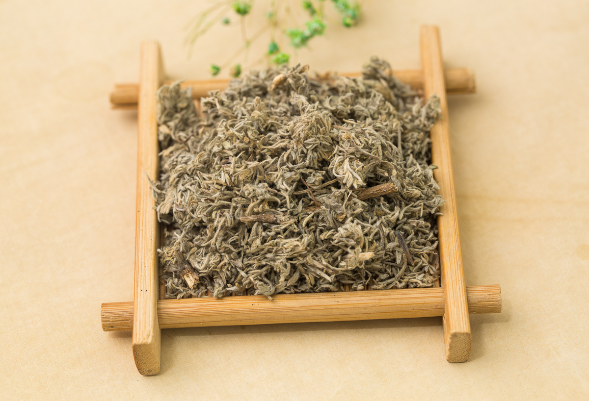  p>茵陈蒿(学名: i>artemisia capillaris /i> thunb.