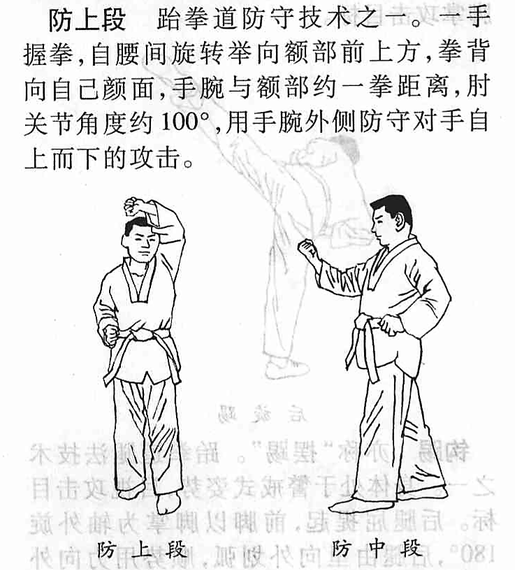 "gmwxtpzx4d">防上段, a target="_blank" href="/item/跆拳道/14455"