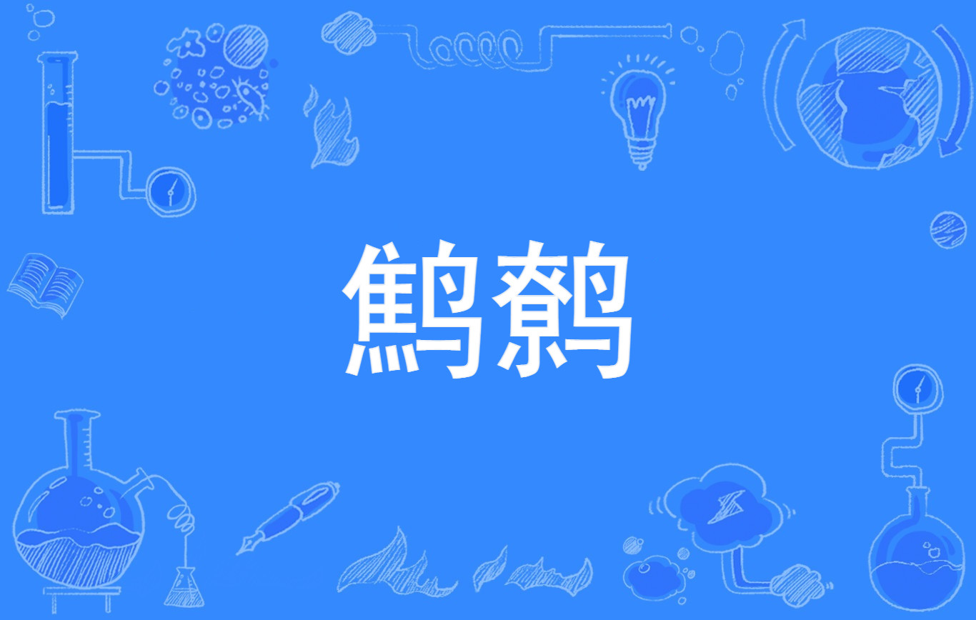 鹪鹩
