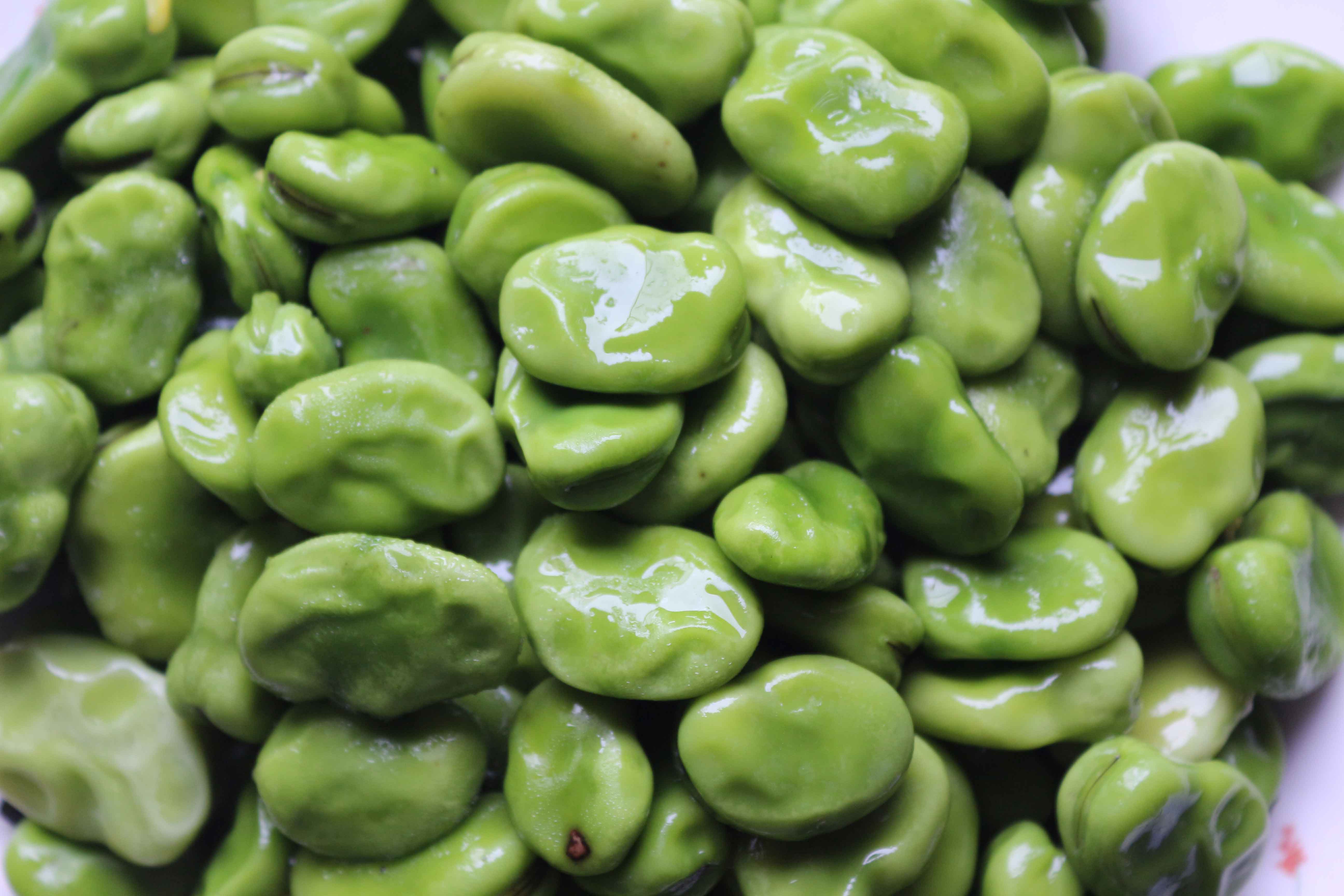  p>大青皮蚕豆是一种营养价值比较高的豆类. /p>