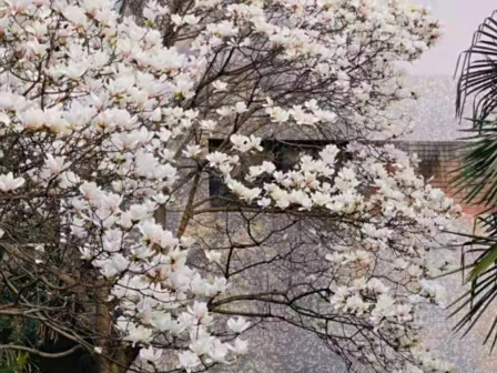 彭州校区