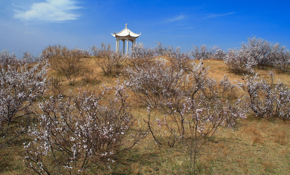  p>杏花山位于黑龙江省五常市.