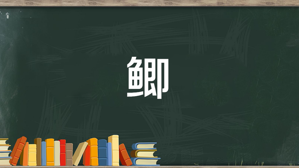 鲫:生活在淡水中的重要食用鱼类
