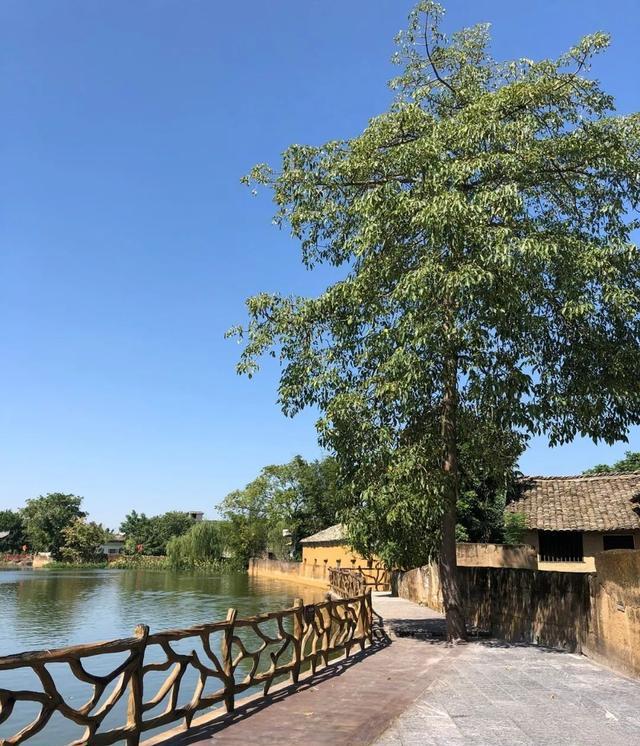  p>古辣稻花香里旅游区是国家aaaa级景区,位于广西壮族自治区宾阳县古