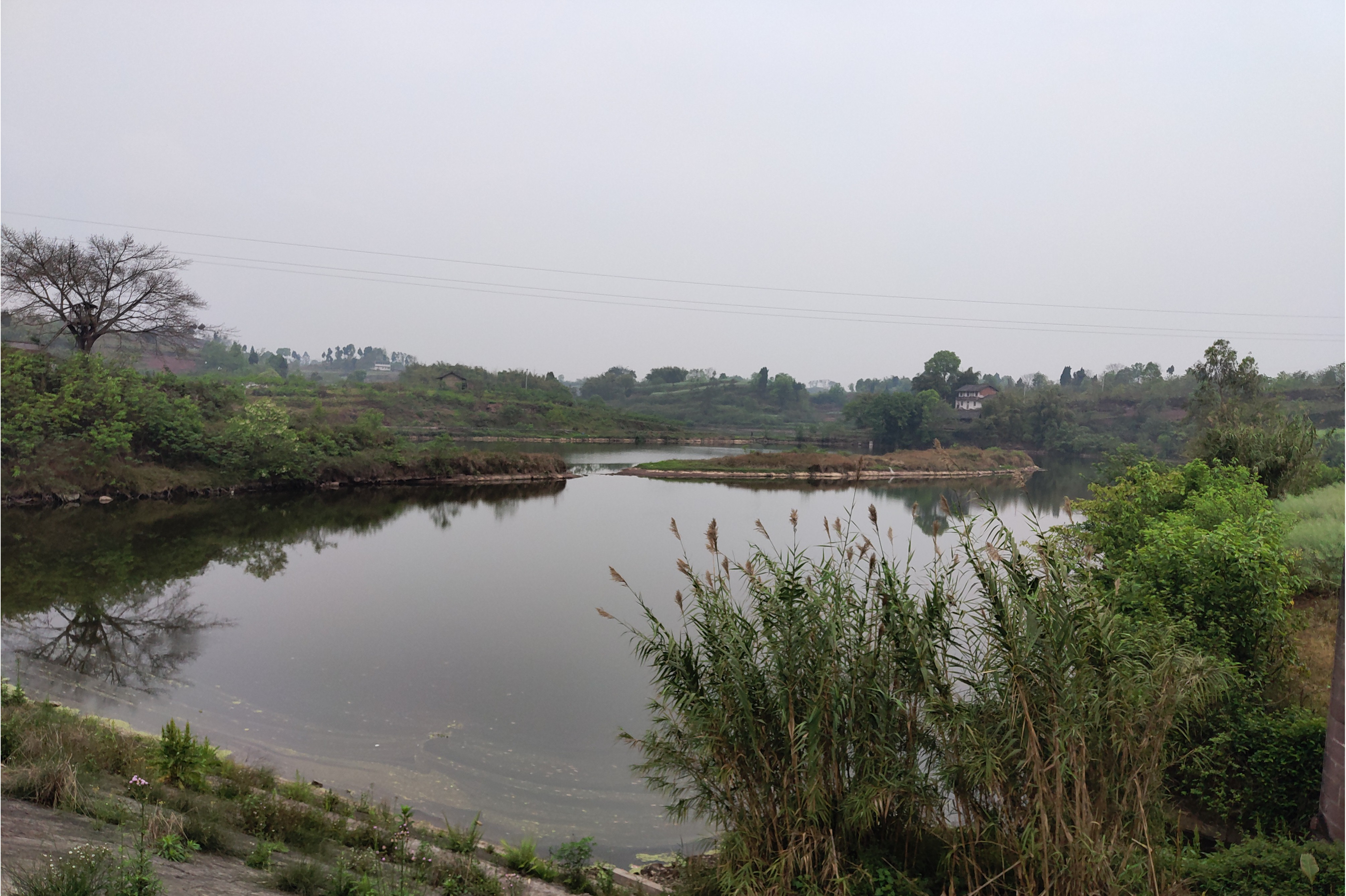 四川省宜宾市翠屏区 a target="_blank" href="/item/白花镇/26103"