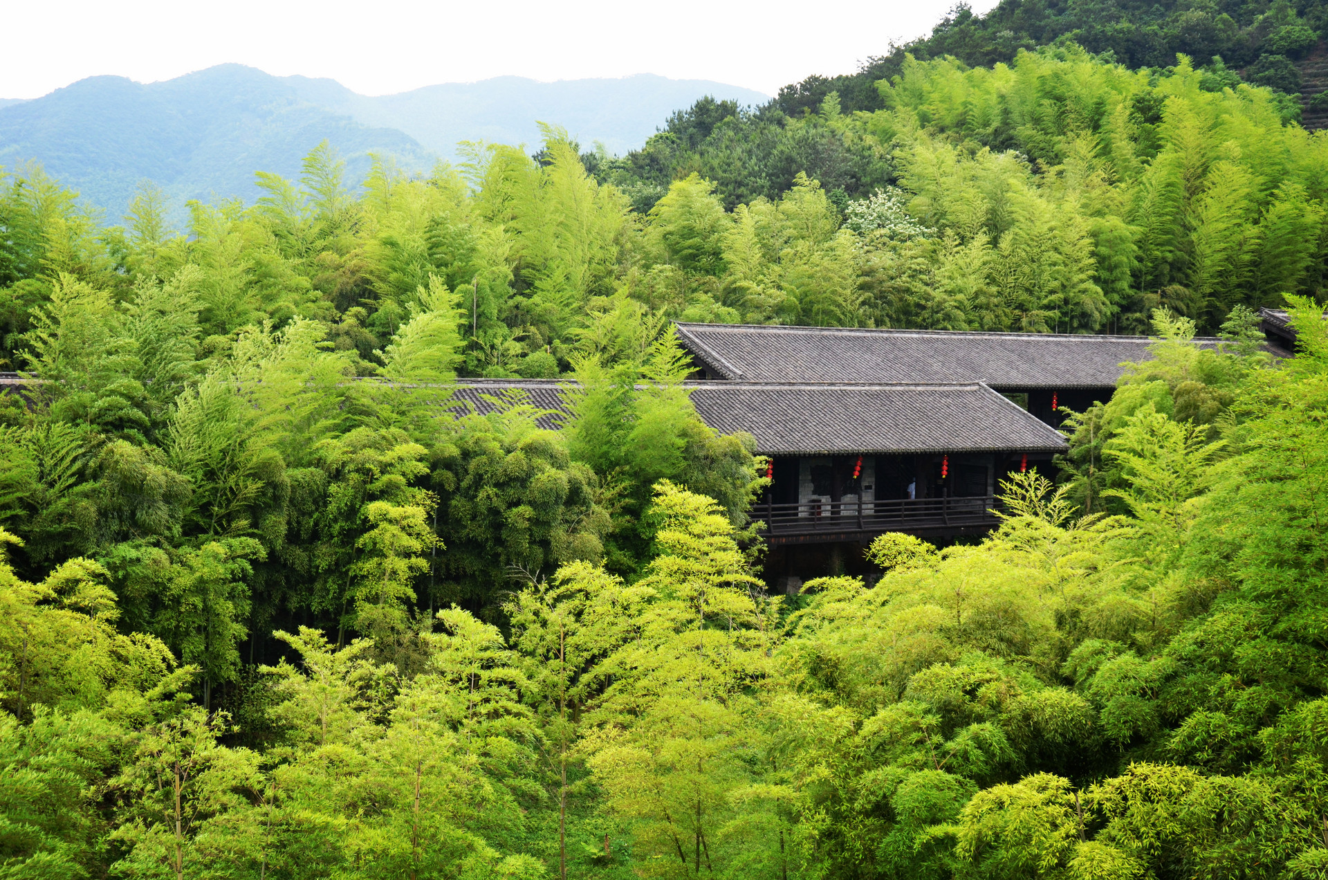 常建的《题破山寺后禅院》，读了另一个版本，才知此诗有多美_百科TA说