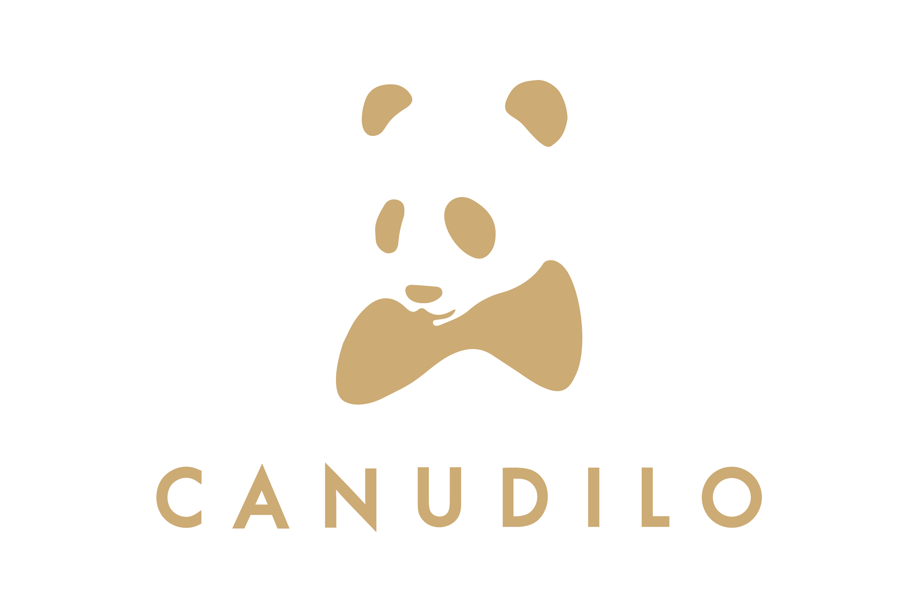 id="3678930">canudilo /a>卡奴迪路创立于1997年,是以国宝熊猫为 a