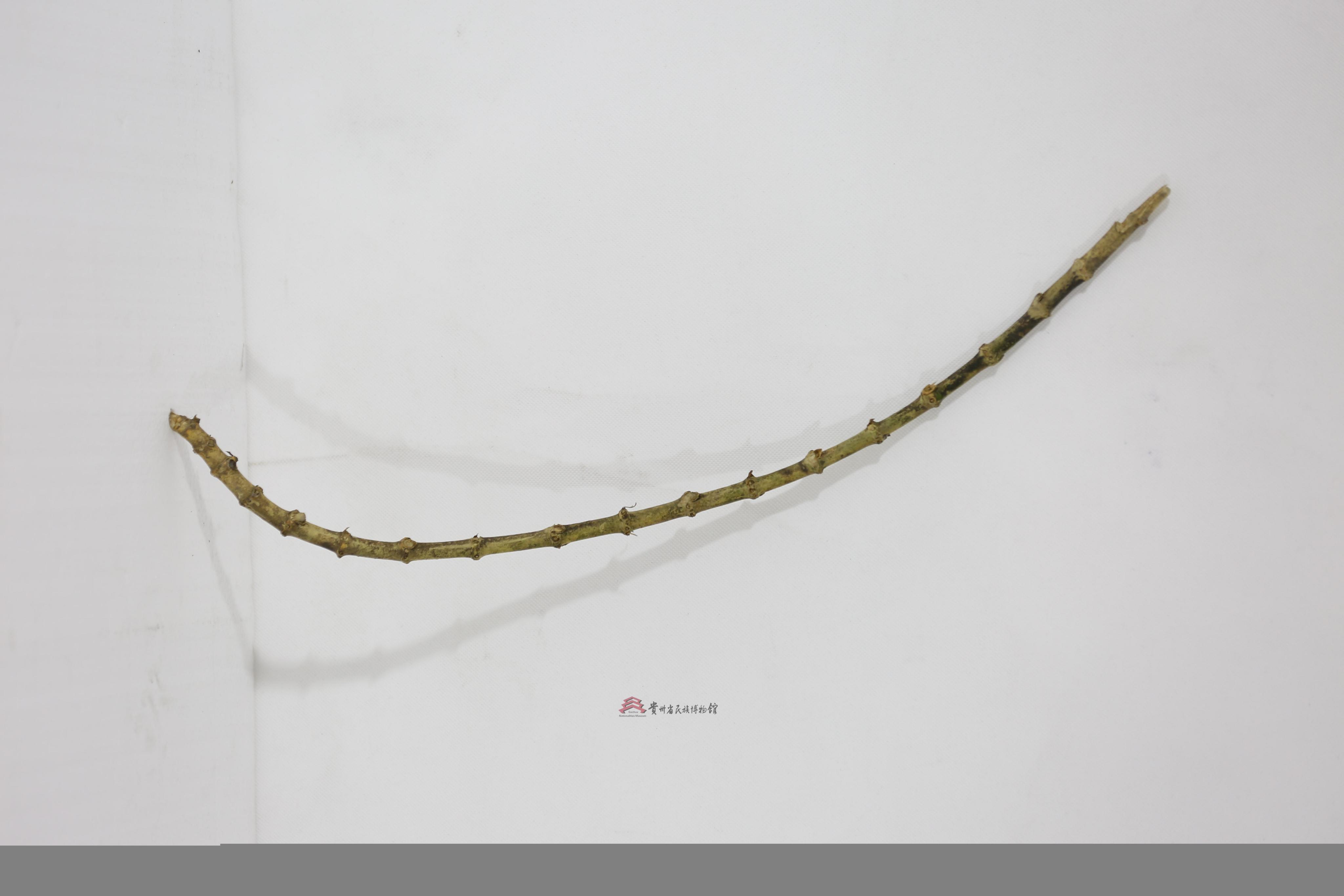 当代三都三洞水族赛马道具马鞭