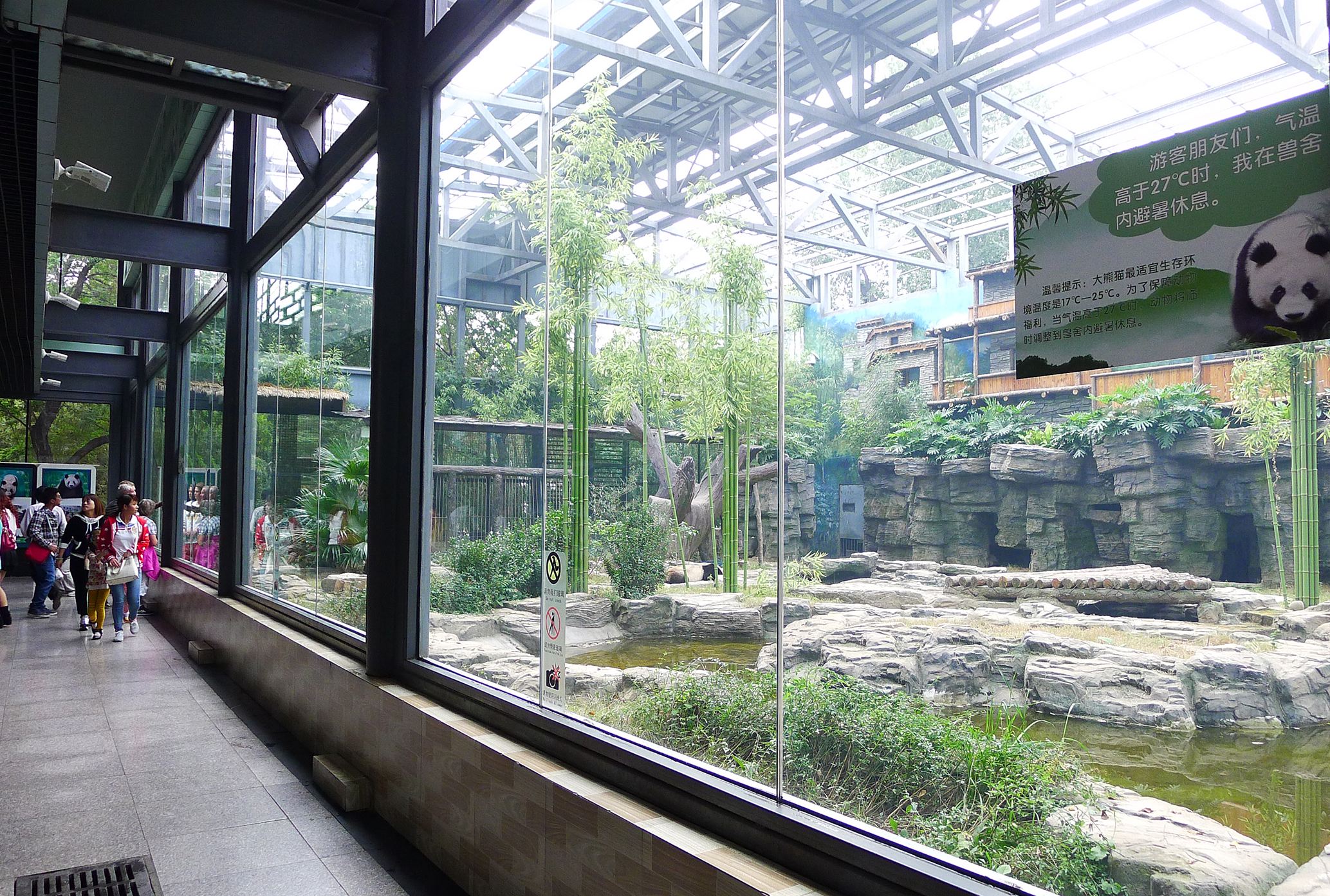  p>北京动物园熊猫馆占地面积10000平方米, a href="#" data-lemmaid=