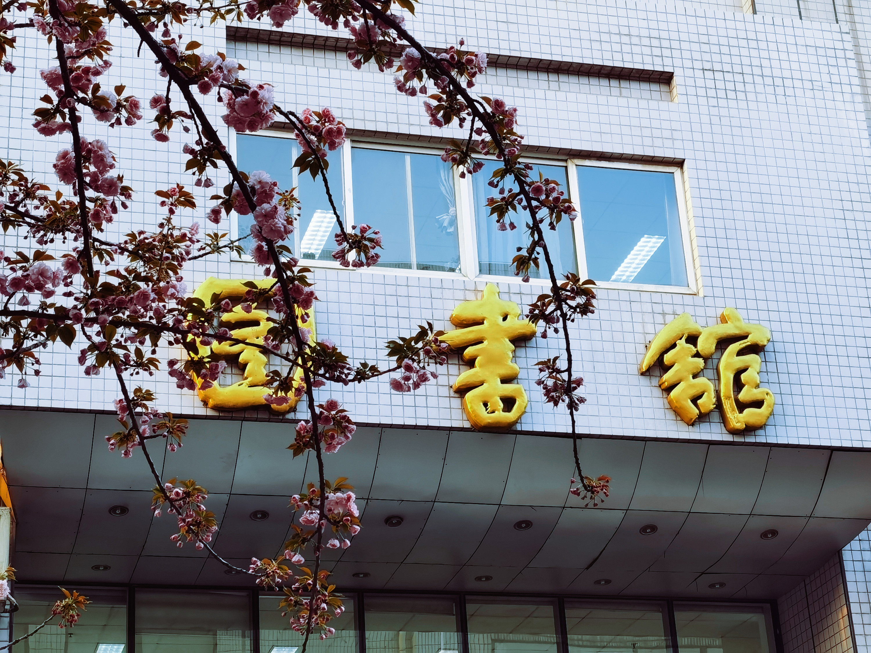 西安交通大学图书馆