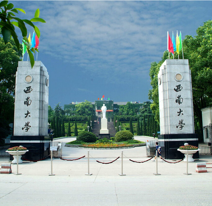 西南大学教育实习实施细则