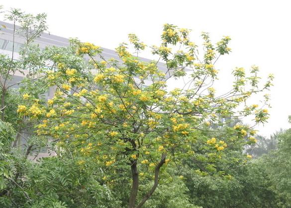 其他与<a target="