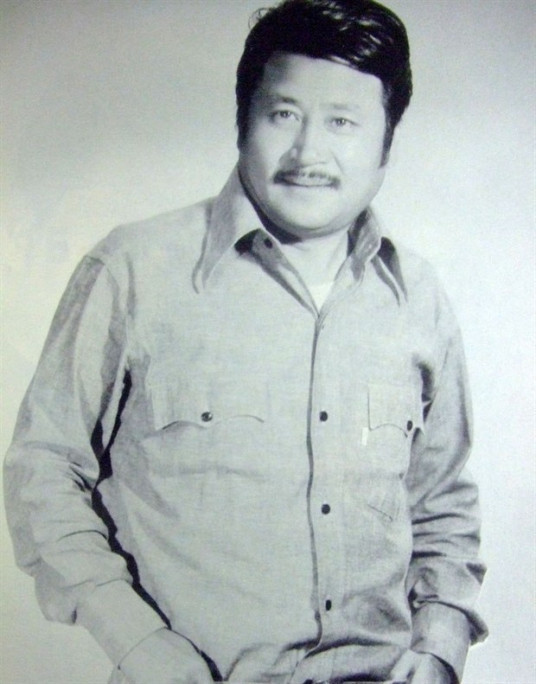 王侠 中国港台著名演员 百度百科