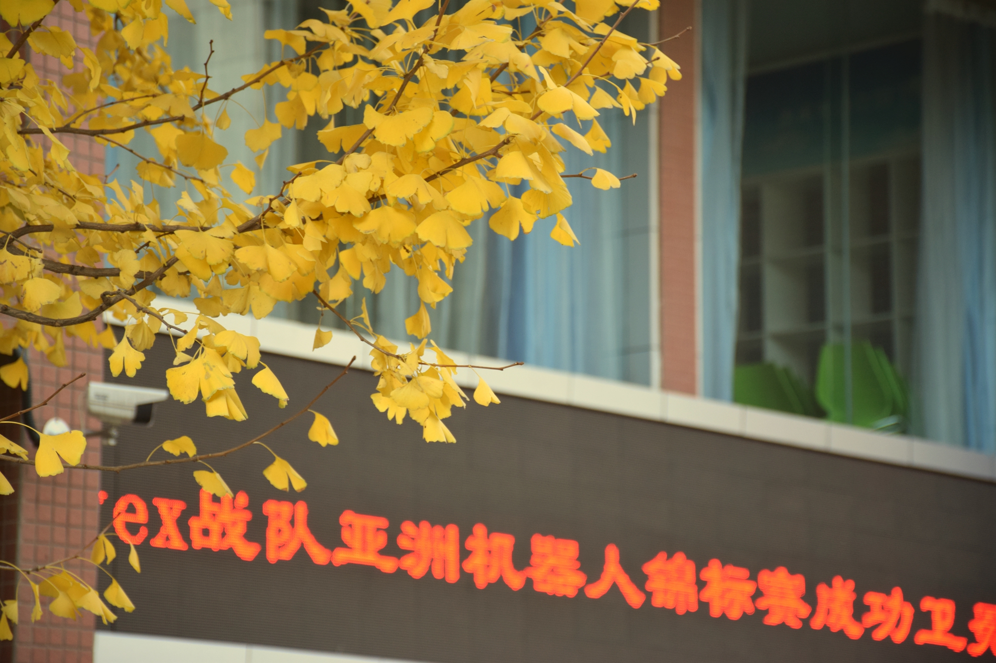 ֶʵѧ_Ϻиֶʵ_ֶʵ