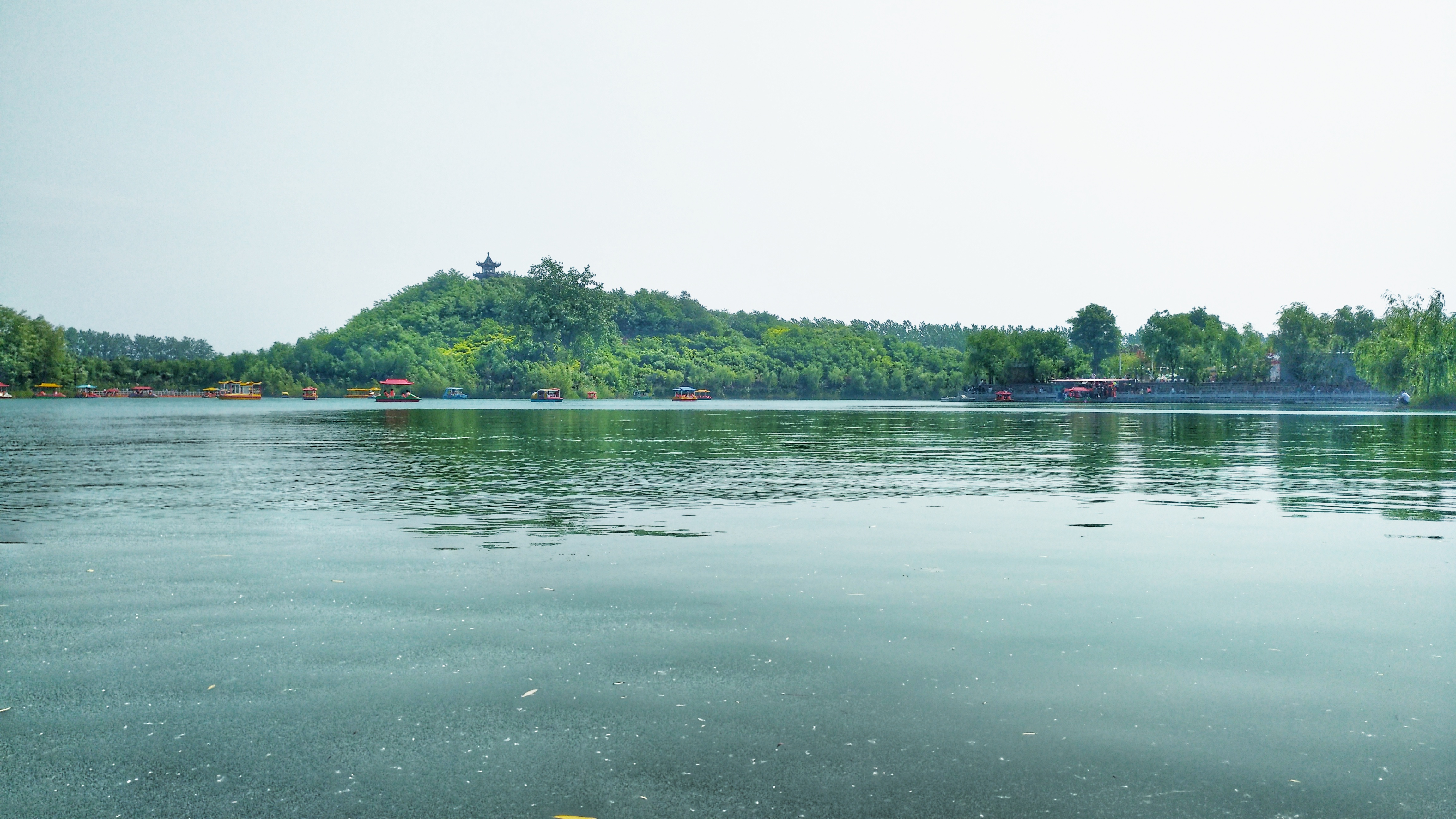 沈丘县中华槐园