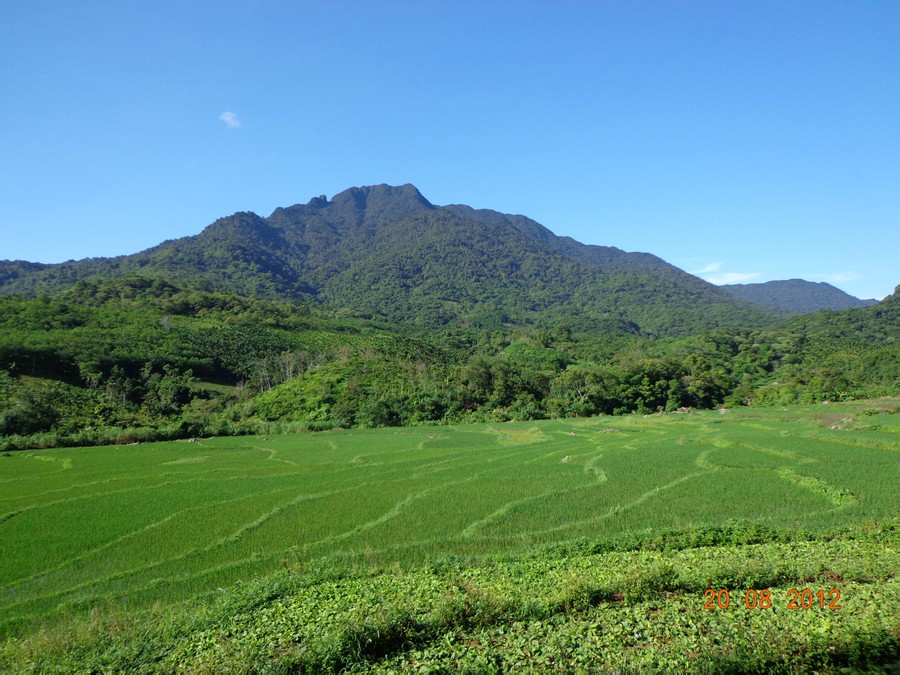 吊罗山乡崩岭村