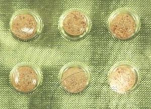  p>虫草含片是从冬虫夏草中提取的一种丰富的虫草素,虫草多糖,虫草酸