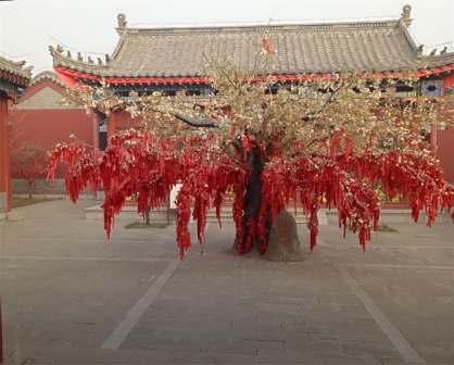 景色