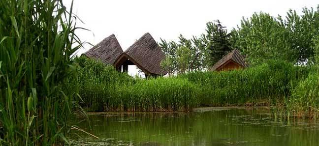  p data-id="gnwqvpcxyb">邵伯湖风景旅游区,为省级旅游休闲度假区,以