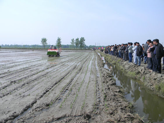 a>监利市西北部,属于监利市其中的一个乡镇,东邻红城乡,南接大垸农场