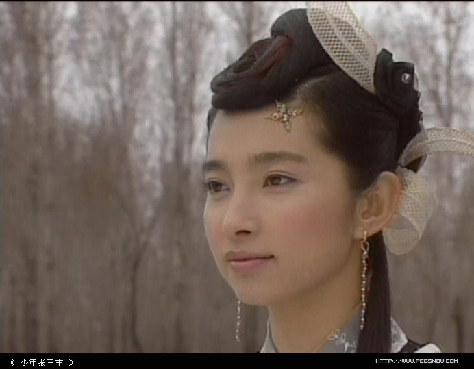少年张三丰