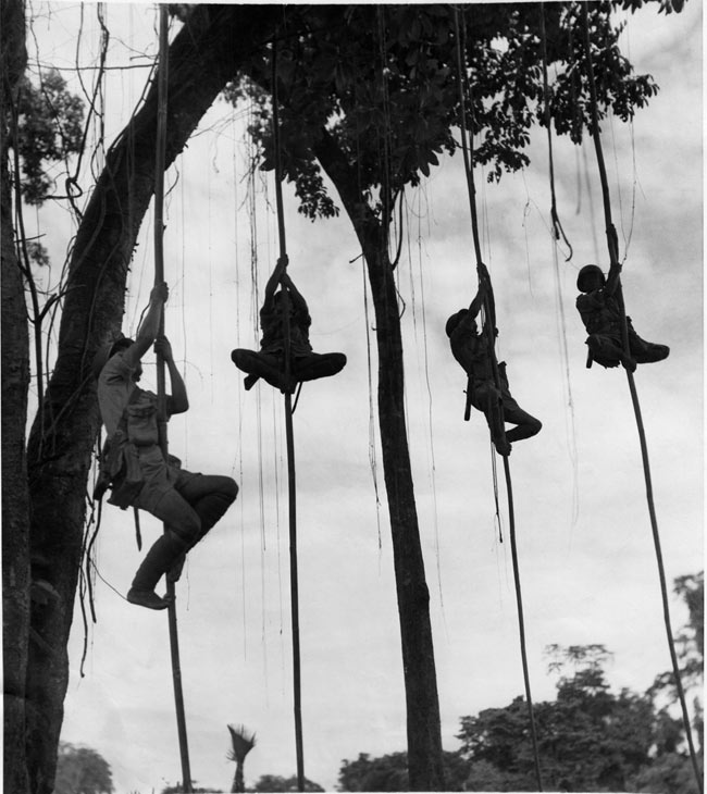  p>中国远征军是 a target="_blank" href="/item/抗日战争/128498"