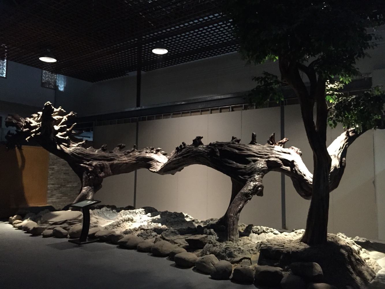 森晖自然博物馆