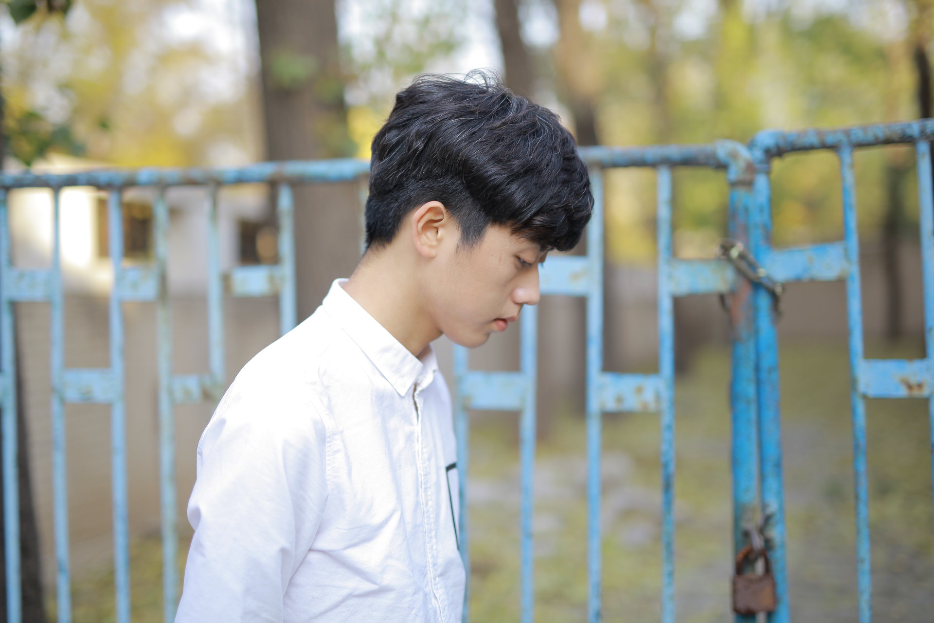 ②·半糖女孩琉璃心》是由吉林摄影出版社出版的图书,作者是欧阳夏飞