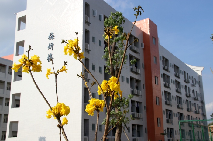  p>东莞市第八高级中学是 a data-lemmaid="6924126">东莞市人民政府 