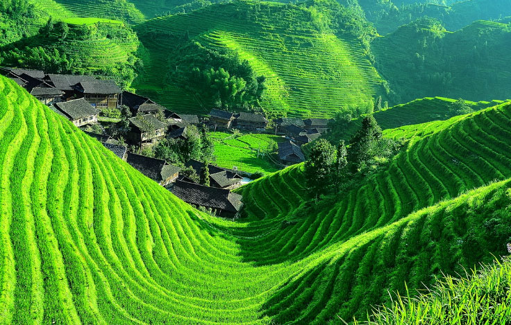 龙脊梯田